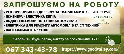 каліш робота для жінок|Робота в Калуші ᐈ Вітрина оголошень